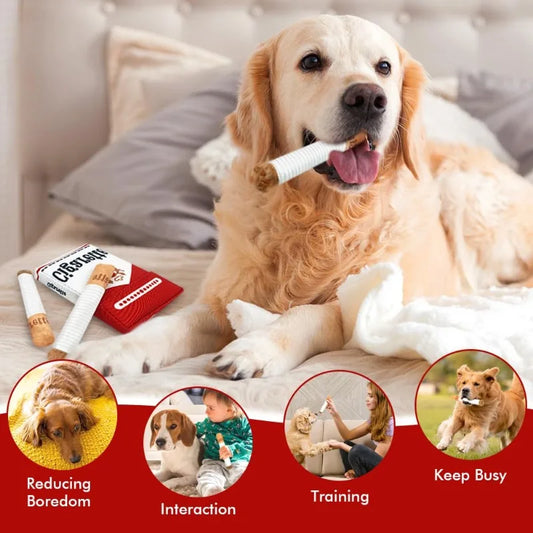 Cigarette Pack Squeaky Toy