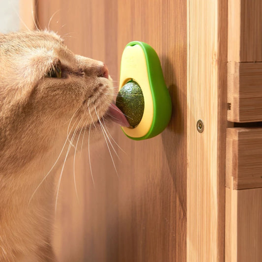 Avocado Catnip Lick Toy